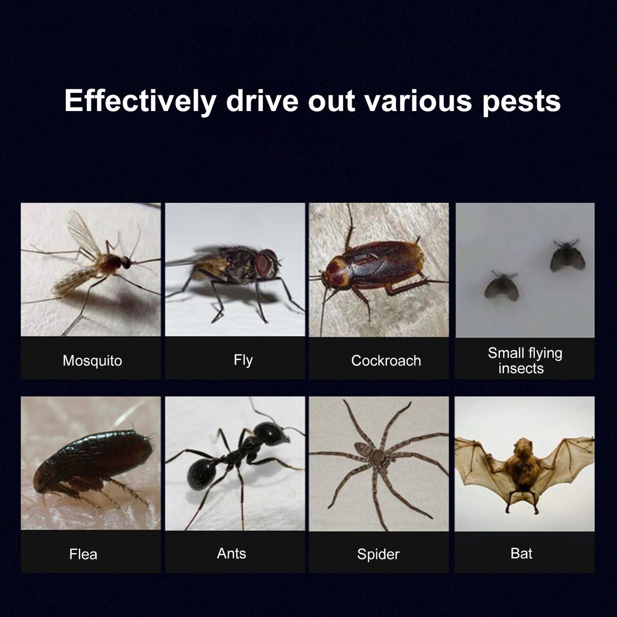 Ultrasonic Mosquito Repellent Mouse Rat Repeller Pests Insects Repelling Device Plug in Indoor Pest Control for Home Office Hotel Use
