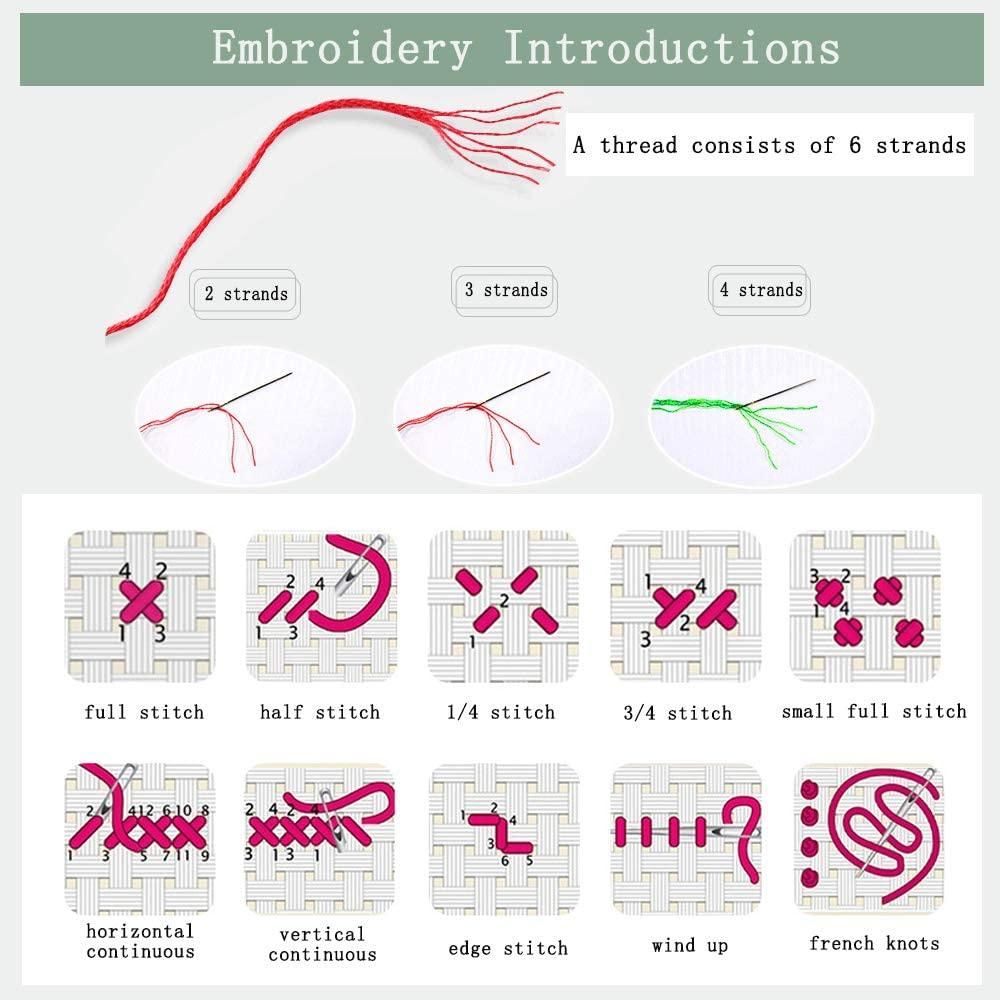 Cross Stitch Kits Stamped Embroidery Starter Kits Beginners DIY DMC Embroidery 11CT 15.7 X9.8 Inch-Strawberry Jam