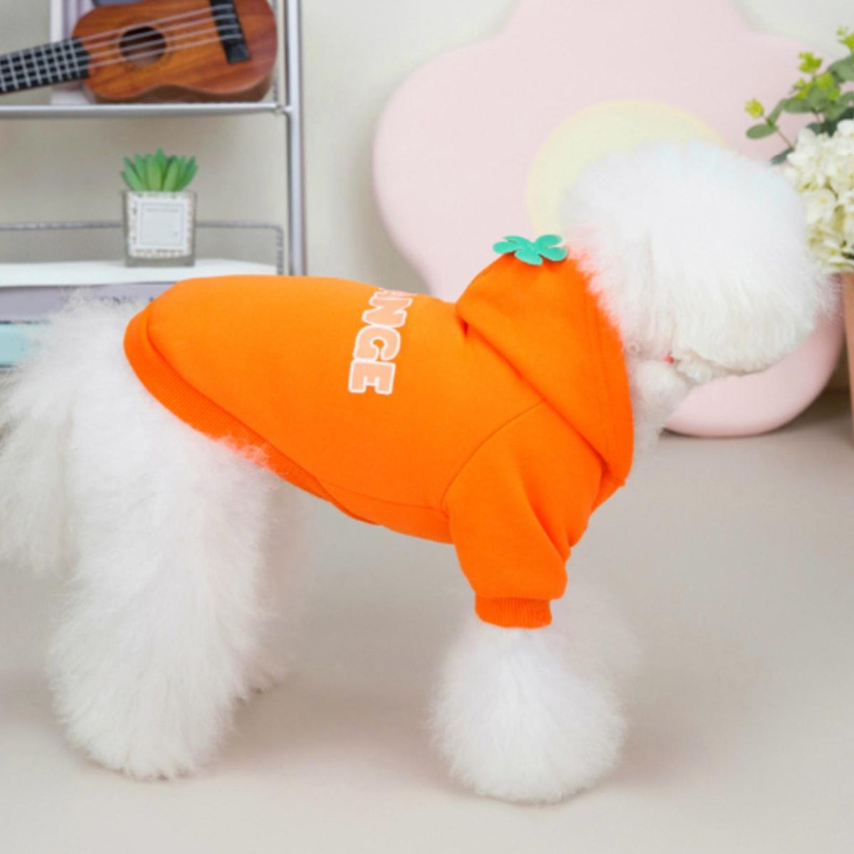 Pet Costume Fruit English Print Pet Vest Orange