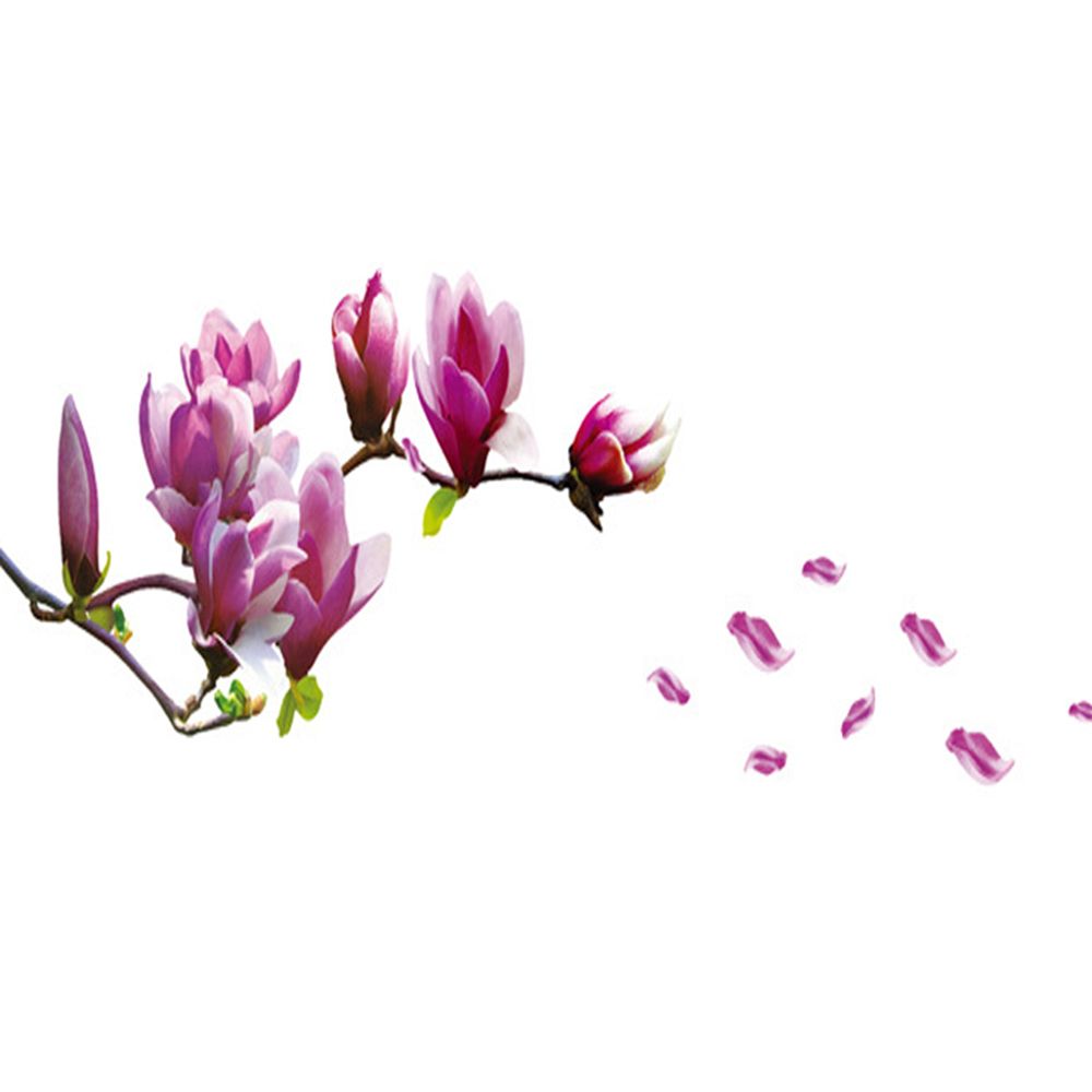 Lily Flowers Wall Decals Live Gallery Beautiful Lovely