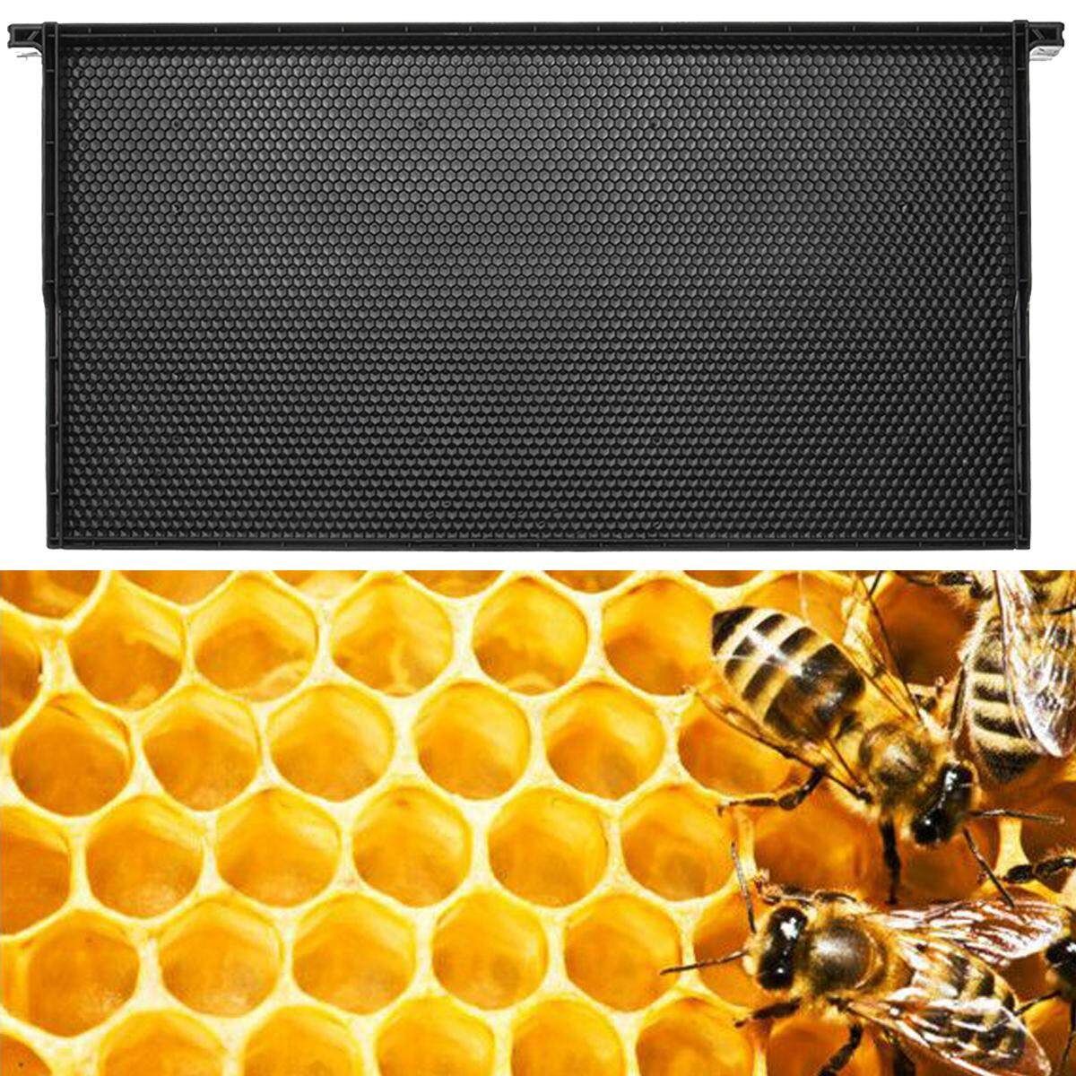 Plastic Comb Foundation Comb Beehive Frames Honey Bee Beekeeping Hive