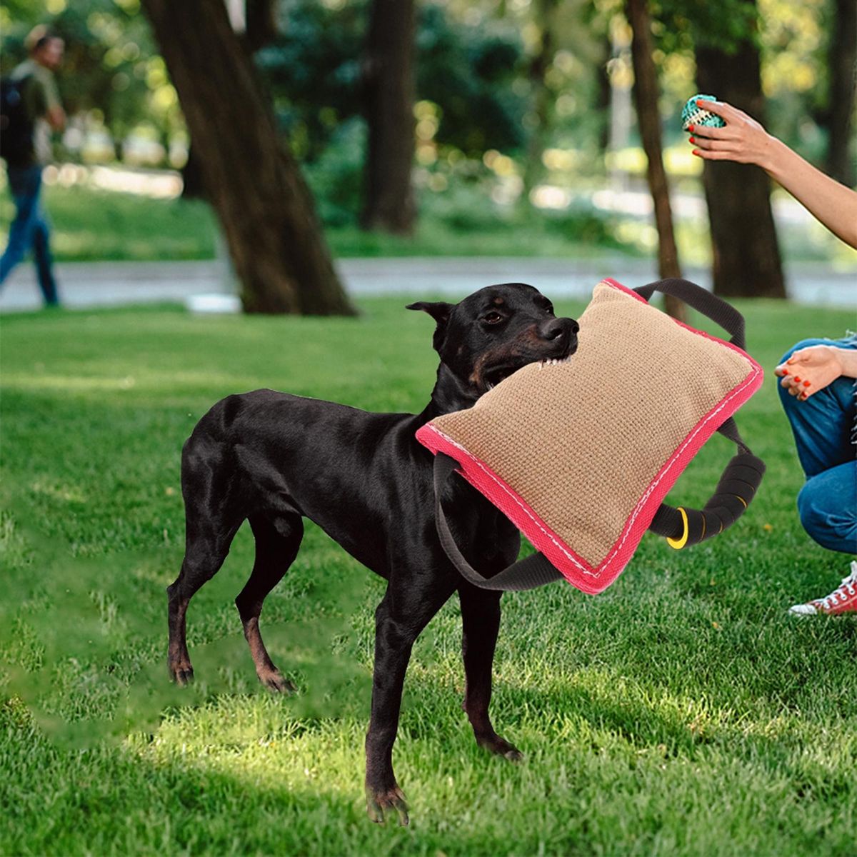 Dog Training Pillow Perfect For Medium And Big Dogs Biting Bull