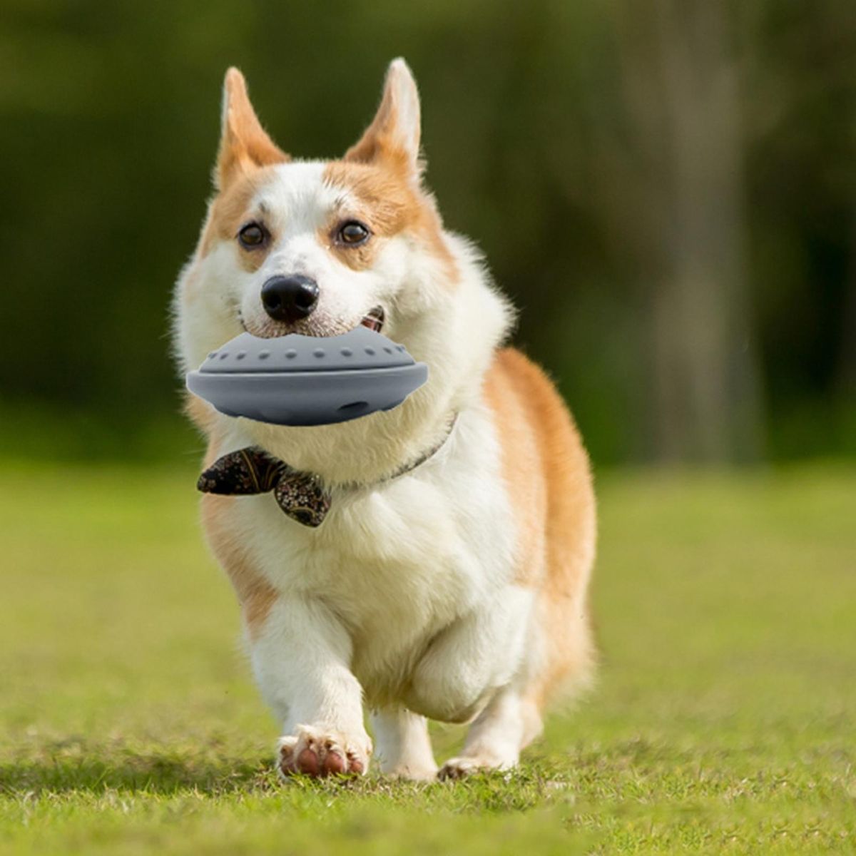 Dog Feeding Toy with Food Leakage Design Dog Feeder Toy Glide for Fun Grey