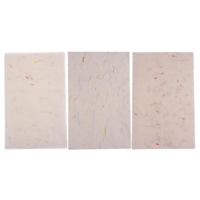 Rice Paper