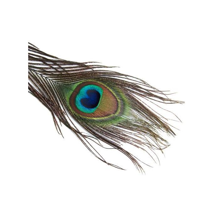 4X 10 Pcs Peacock Tail Feathers For Craft Mask Hat 9-13 Inch
