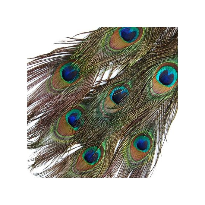 4X 10 Pcs Peacock Tail Feathers For Craft Mask Hat 9-13 Inch