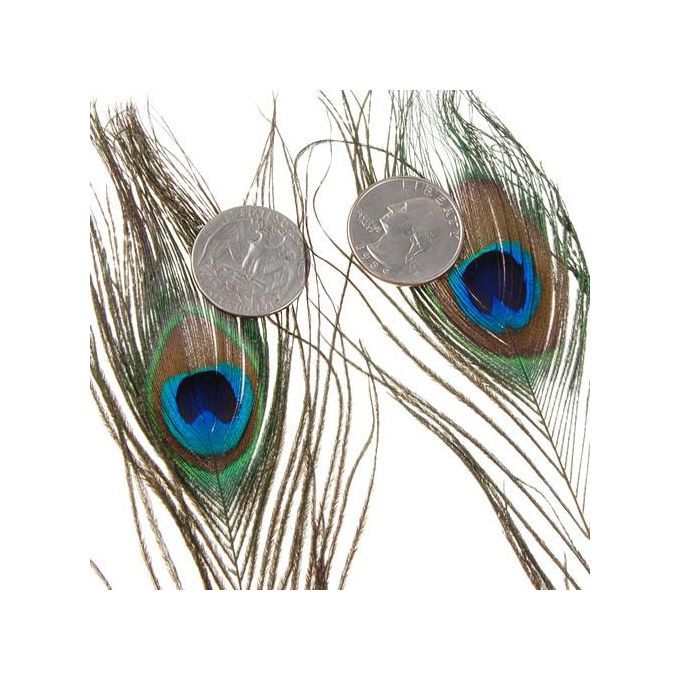 4X 10 Pcs Peacock Tail Feathers For Craft Mask Hat 9-13 Inch