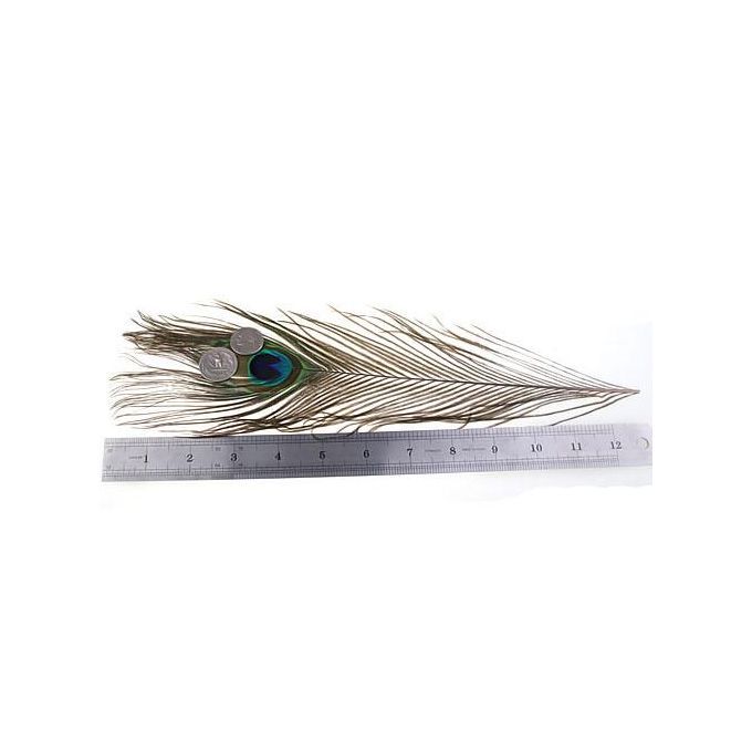 4X 10 Pcs Peacock Tail Feathers For Craft Mask Hat 9-13 Inch