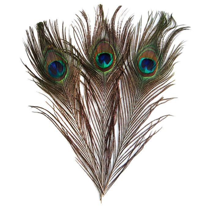 4X 10 Pcs Peacock Tail Feathers For Craft Mask Hat 9-13 Inch