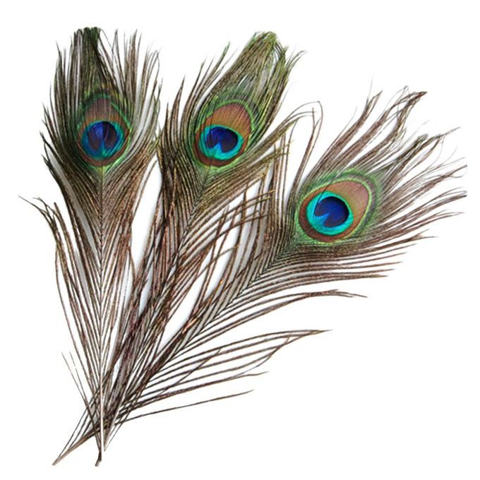 4X 10 Pcs Peacock Tail Feathers For Craft Mask Hat 9-13 Inch