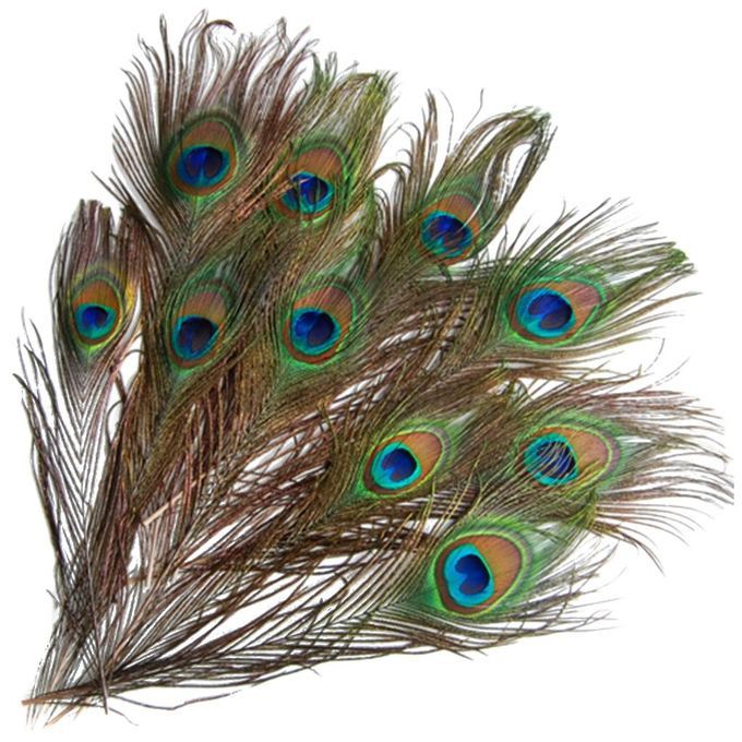 4X 10 Pcs Peacock Tail Feathers For Craft Mask Hat 9-13 Inch