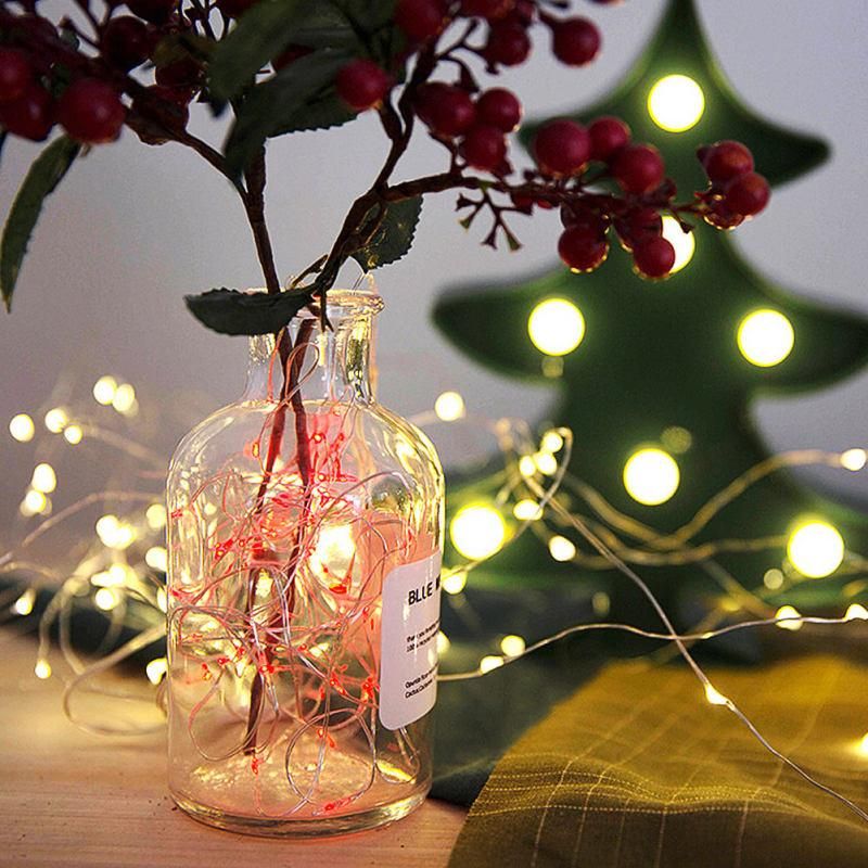 1m 2m 3m 5m 10m LED Copper Wire Starry String-Multicolor
