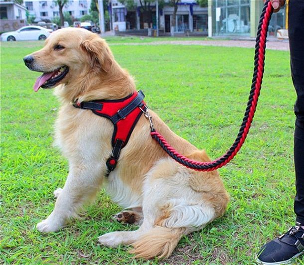 High Quality Upgraded Color Collar Large Dog Harnesses Traction Rope Walk The Dog P Chain Pet  For Medium And Large Dogs