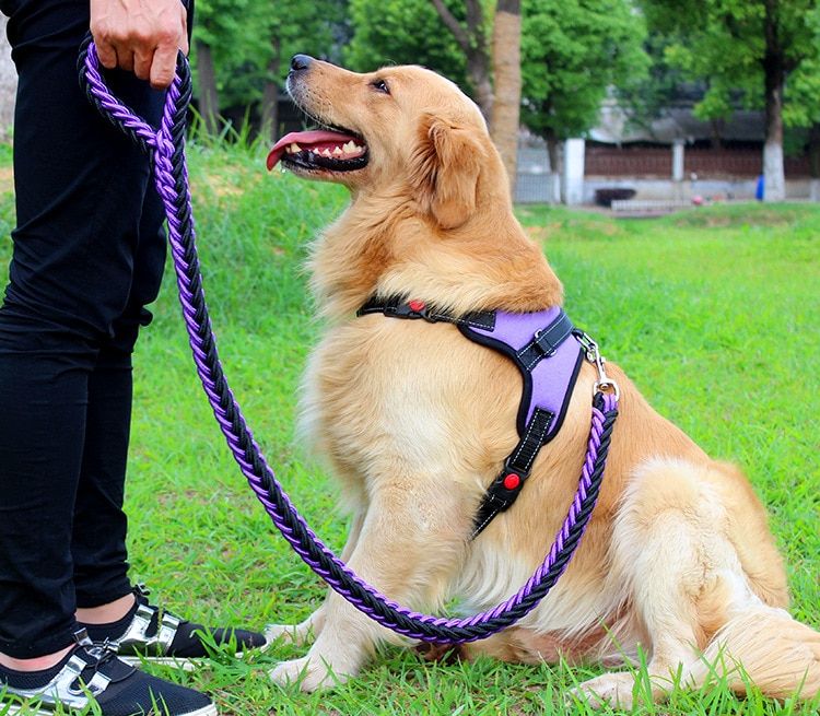 High Quality Upgraded Color Collar Large Dog Harnesses Traction Rope Walk The Dog P Chain Pet  For Medium And Large Dogs