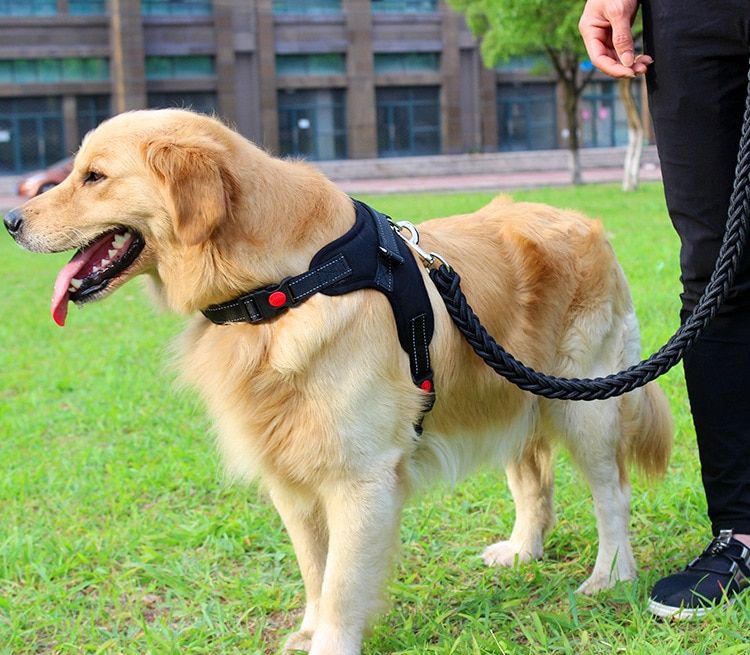 High Quality Upgraded Color Collar Large Dog Harnesses Traction Rope Walk The Dog P Chain Pet  For Medium And Large Dogs