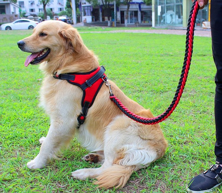 High Quality Upgraded Color Collar Large Dog Harnesses Traction Rope Walk The Dog P Chain Pet  For Medium And Large Dogs