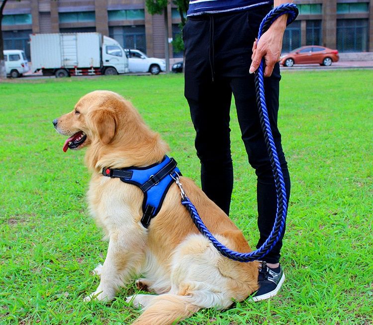 High Quality Upgraded Color Collar Large Dog Harnesses Traction Rope Walk The Dog P Chain Pet  For Medium And Large Dogs