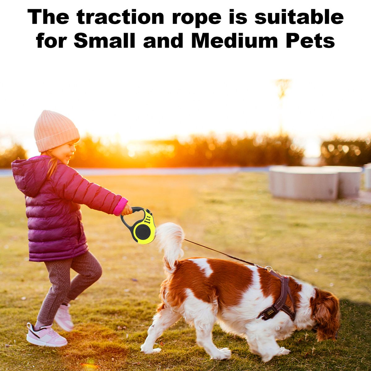 Retractable Dog Leash Pet Walking Leash With Anti-slip