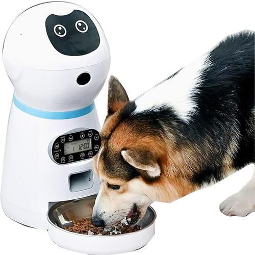 Automatic Slow Pet Feeders With Voice Record Stainless Steel Dog Food Bowl Auto Cat LCD Screen Timer Food Dispenser
