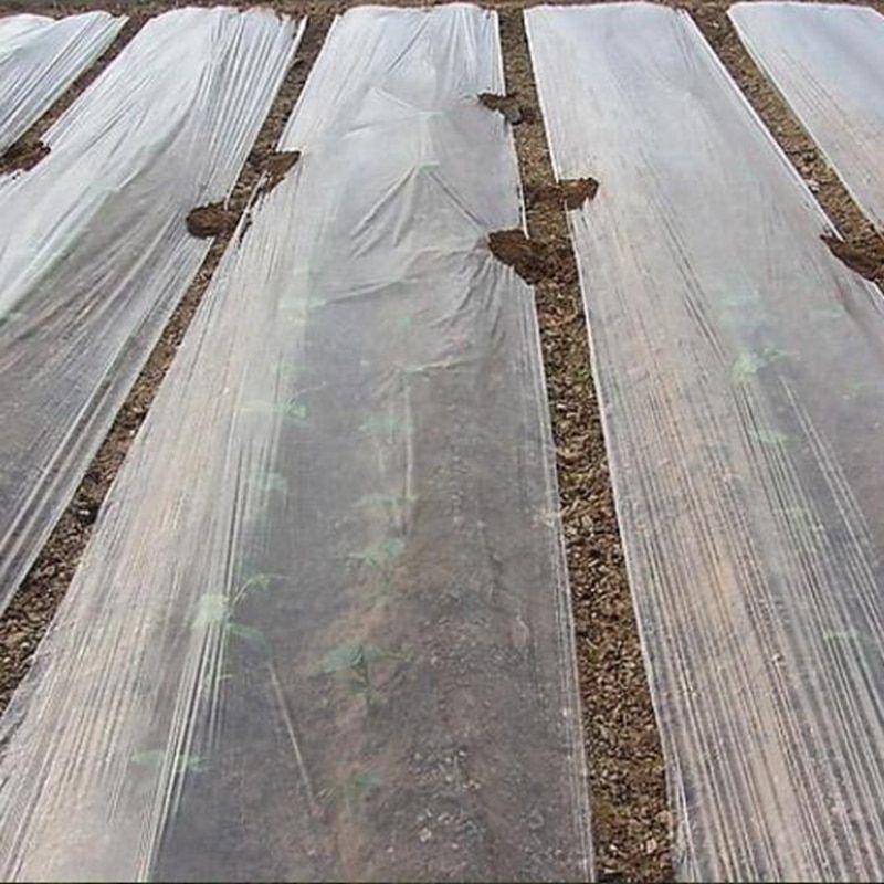 10m 0.006mm Mulch Film PE  Plastic Ground Cover Film Frost Protection Keep Warm Weed-1.5M Width