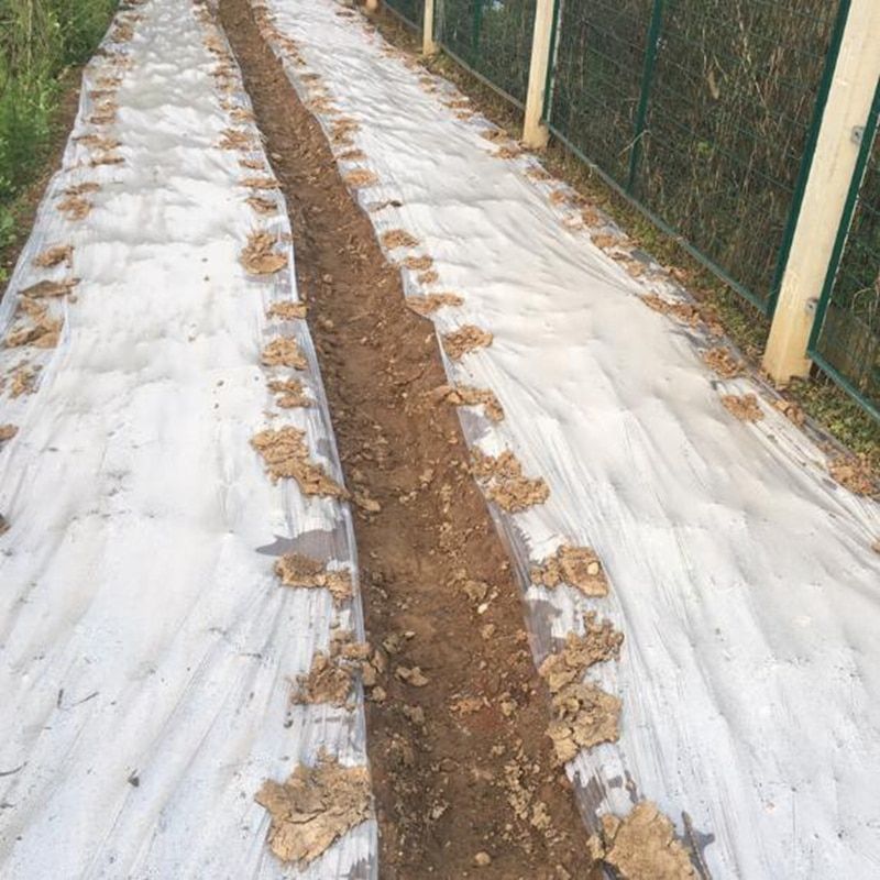 10m 0.006mm Mulch Film PE  Plastic Ground Cover Film Frost Protection Keep Warm Weed-1.5M Width