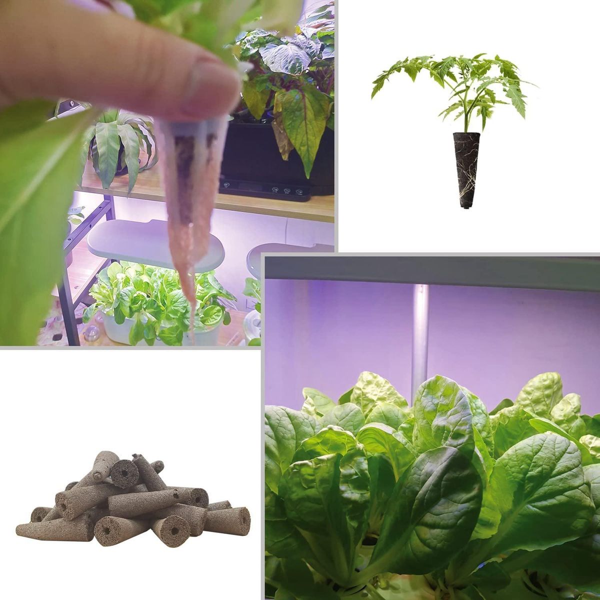 Grow Sponges for Use with  -Friendly Plant Growing Plugs Sponges for Hydroponic Plants Growth Pack of 50