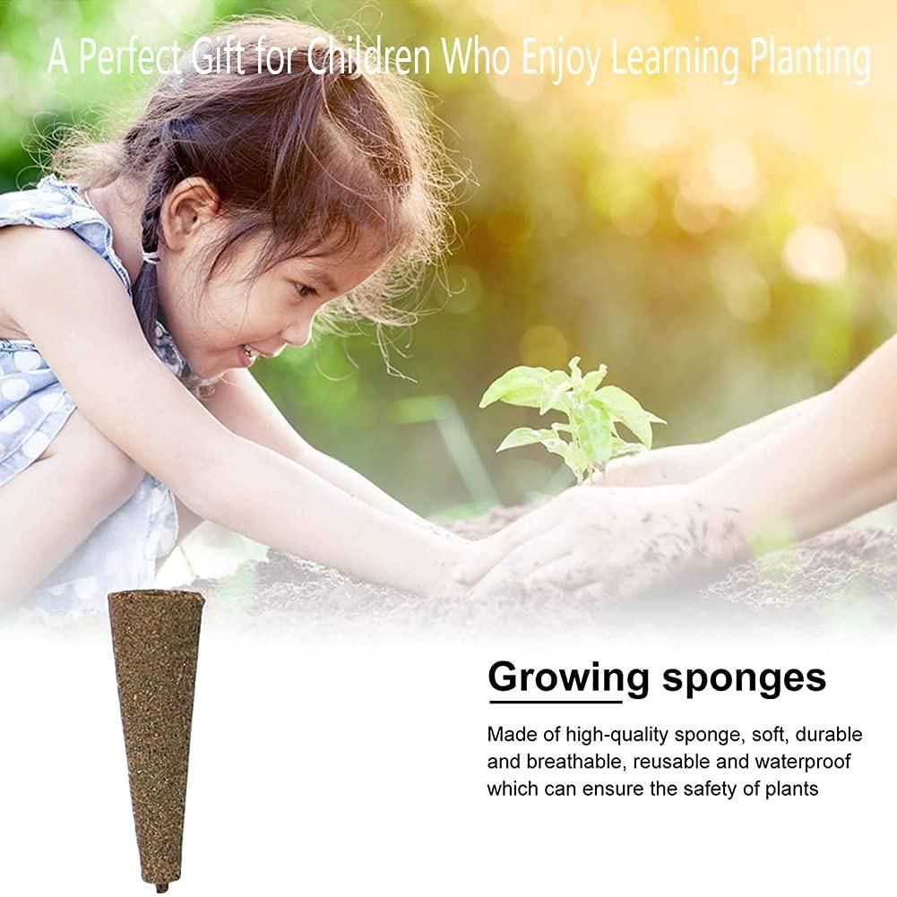 Grow Sponges for Use with  -Friendly Plant Growing Plugs Sponges for Hydroponic Plants Growth Pack of 50