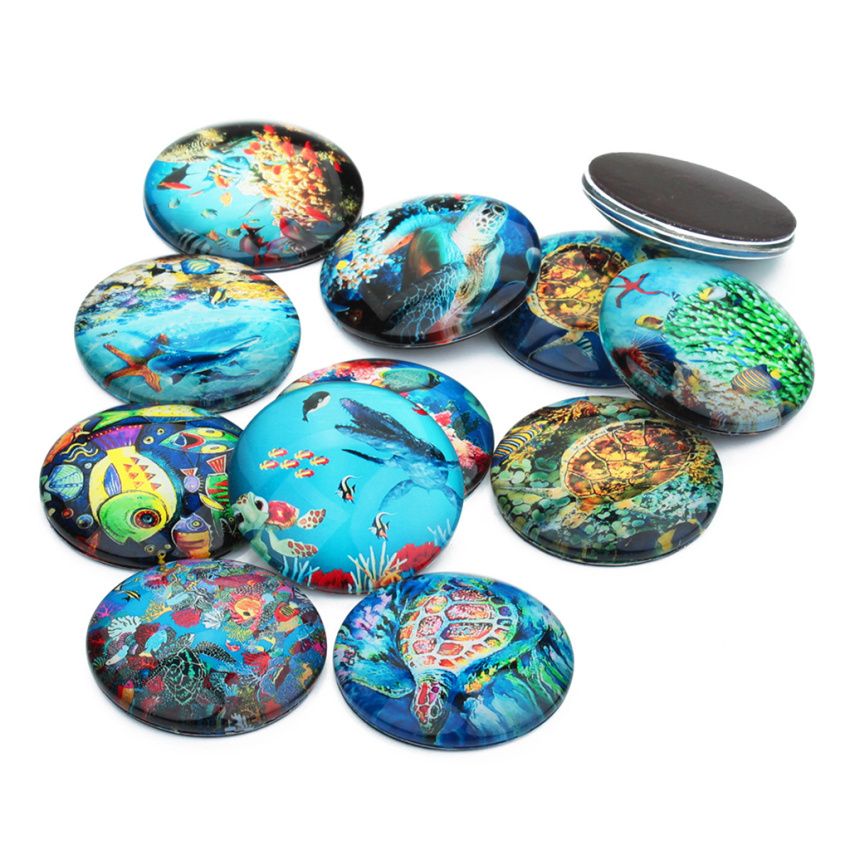 20 Pieces Lovely Clown Fish Pattern Flat Back Fridge Set