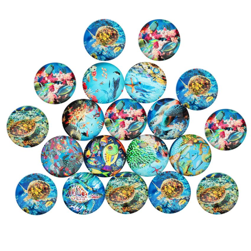 20 Pieces Lovely Clown Fish Pattern Flat Back Fridge Set