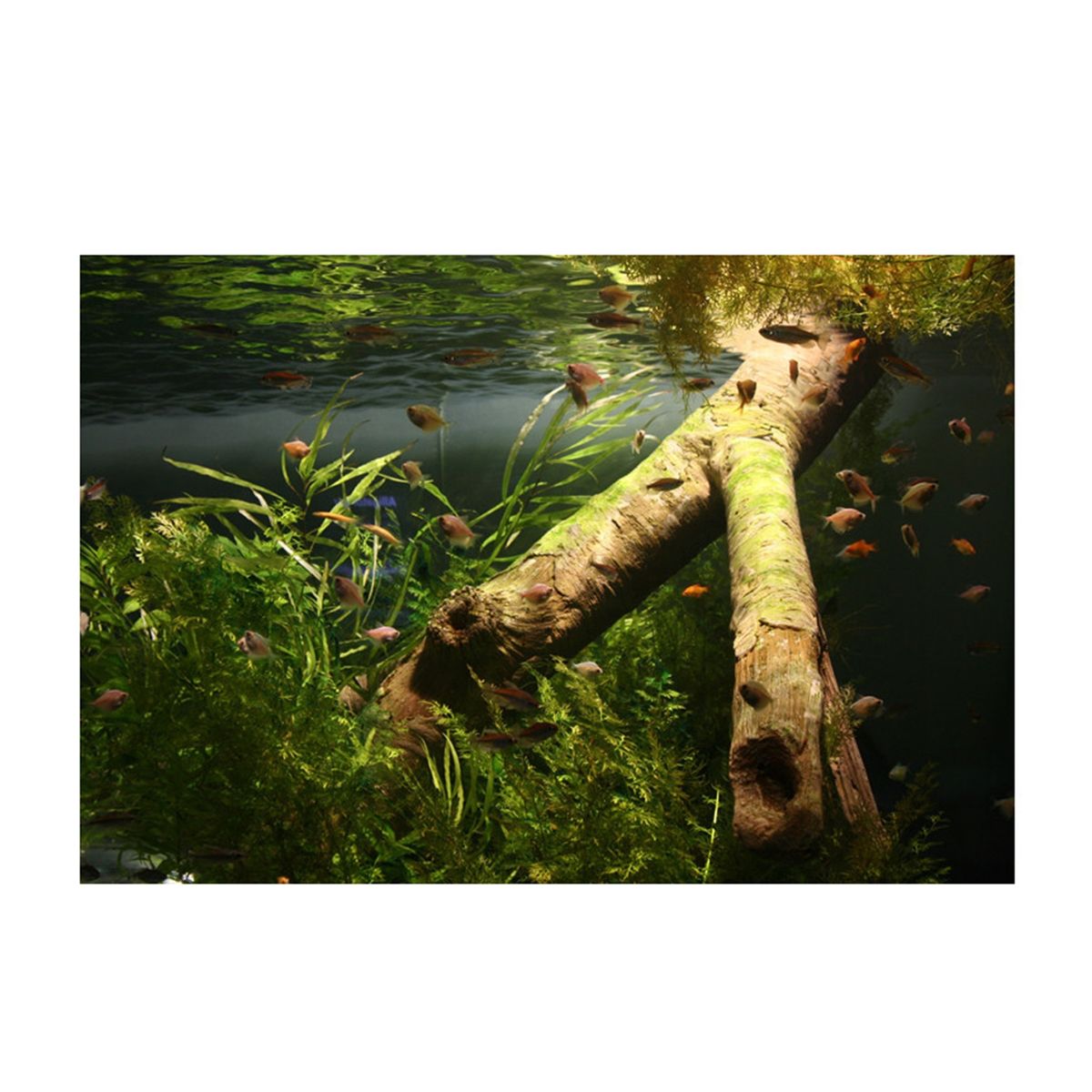 Aquarium Decoration Poster Realistic Undersea Poster Sticker E