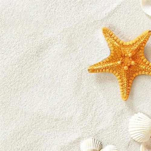 5 Packs White Sand Multifunction Creative Aquarium Sand Aquarium Decoration For Fish Tank Home Vase