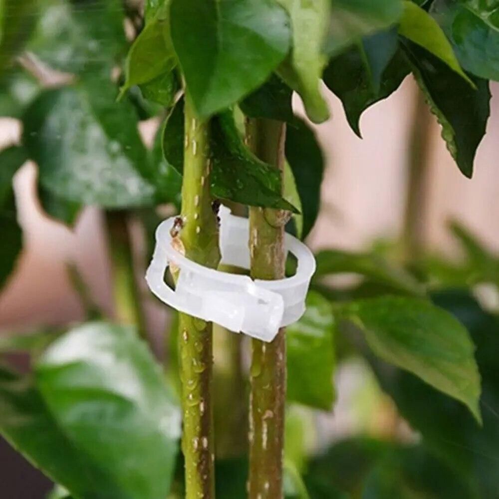 200/50Pcs Plastic Plant Support Clips Reusable Vine Protection Grafting Fixing Tool For Vegetable Tomato Garden Supplies