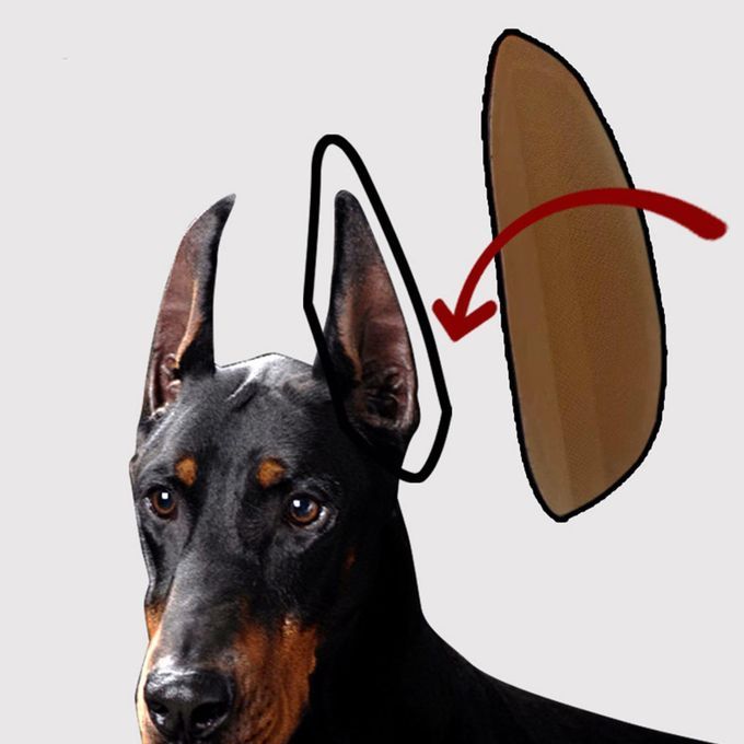 Dog Ear Stand Sticker Fixed Support Puppy Ear Vertical Tool Dog Ear