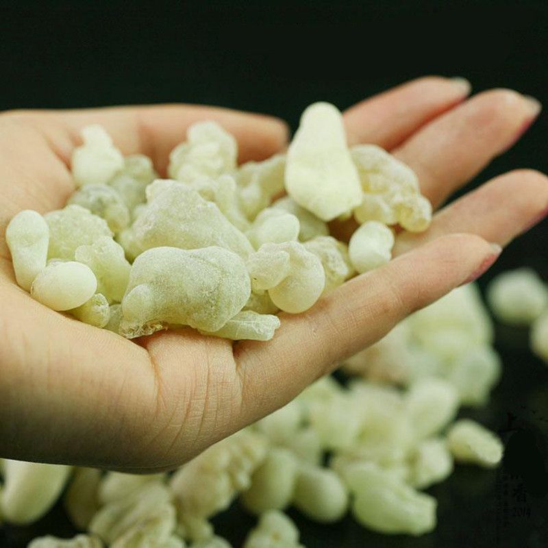 Hojari Frankincense Green Frankincense Well Burning Oman