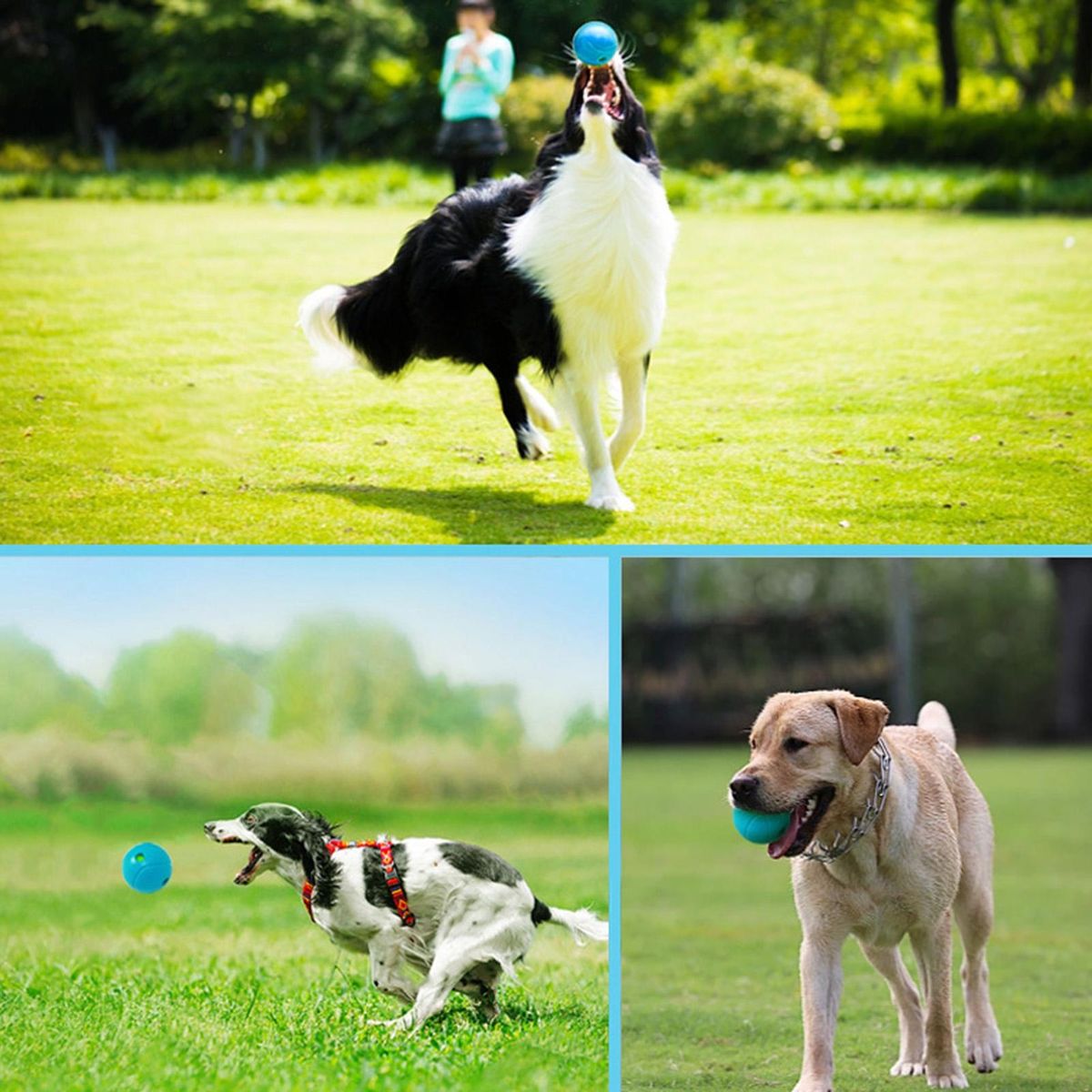 Playful Nature Release Dog Toy Pet Food Leakage Ball Relieve for Gum Blue