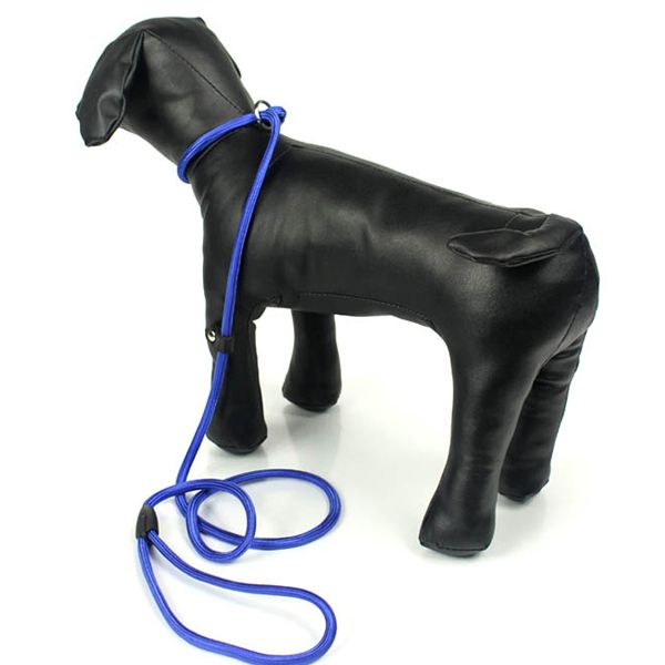 Useful Dogs Pet Collar Traction Rope