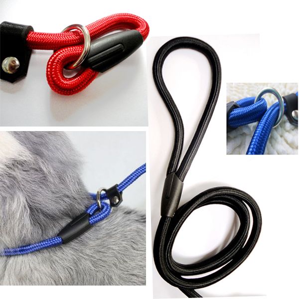 Useful Dogs Pet Collar Traction Rope