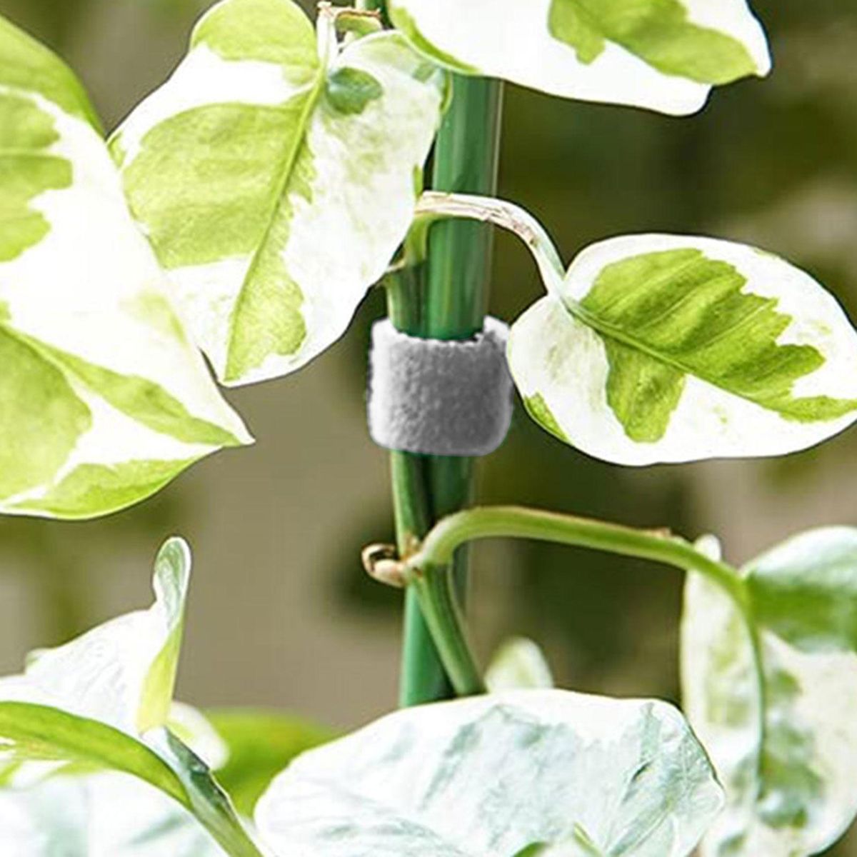 1 Roll Plant Tie Multi-purpose Plant Fixing Bundling Belt Grey