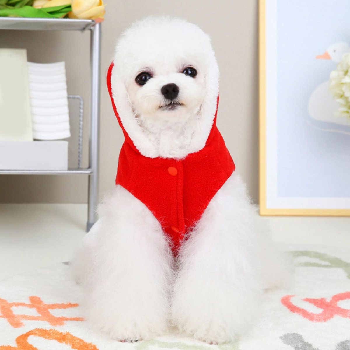 Pet Vest Pet Four Leggings Jumpsuit Red
