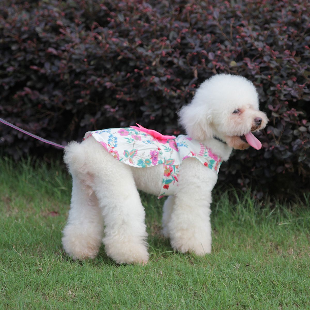 Cat Skirt Puppy Dog Skirt Pet Flower Dress White