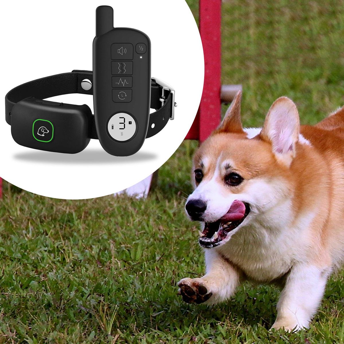 Shock Collar For Large Dog E Collar - Waterproof Rechargeable Black