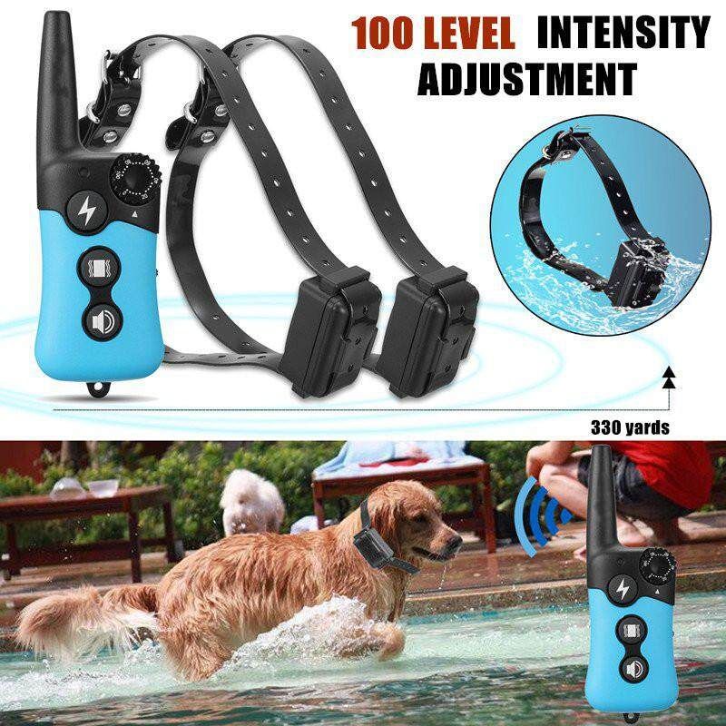 Dog Training System With 1 Remote + 2 Collars Control No Waterproof Shock US Plug American Rules