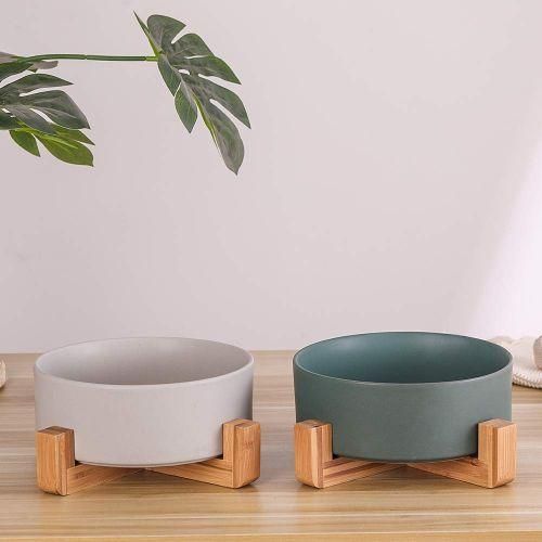 Cat Bowls, Kitten Bowl For Food And Water, Raised Ceramic