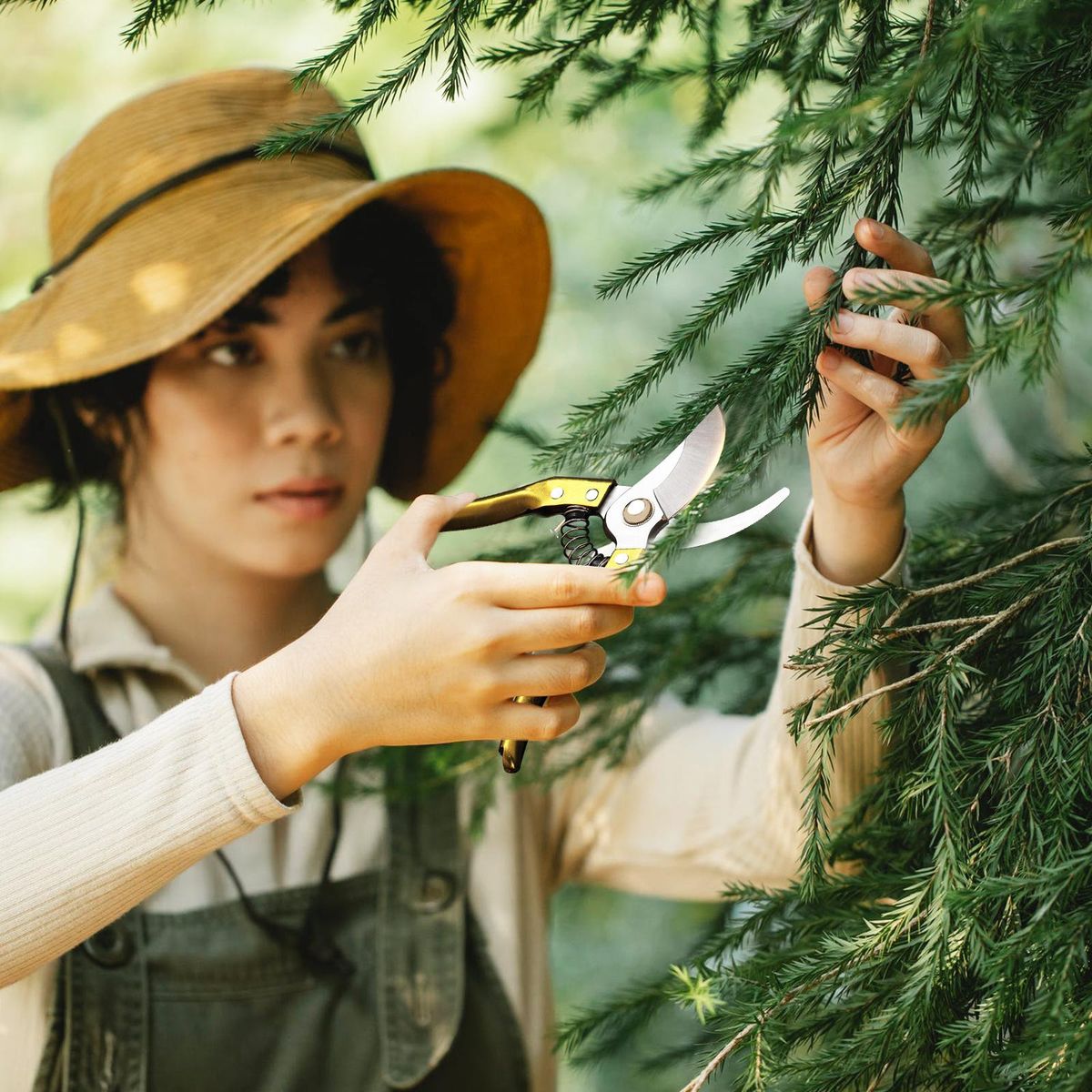 Secateurs Steel Blade Pruning Shears with Ergonomic Handles Gardening Pruning Scissors Bonsai Cutters Professional Gardening Hand Tool Scissors Kit for Plants Rose Flowers Fruit Christmas Tree