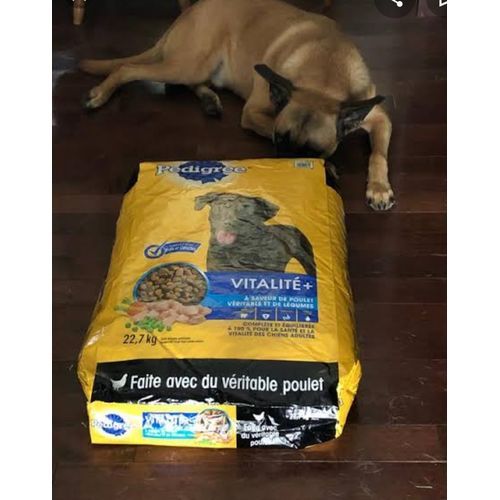 Dog Food With Real Chicken (payment Validates Order)