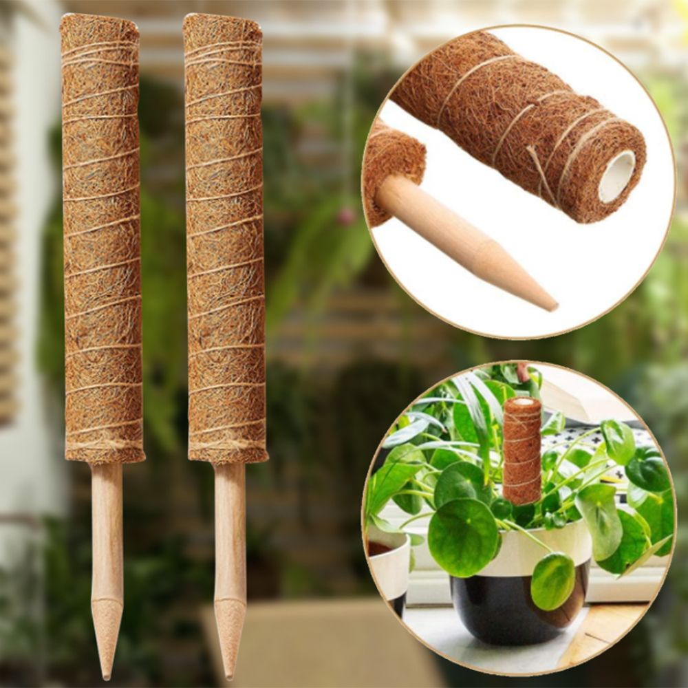 2Pcs 11.8'' Moss Poles Plant Stake Support For Climbing