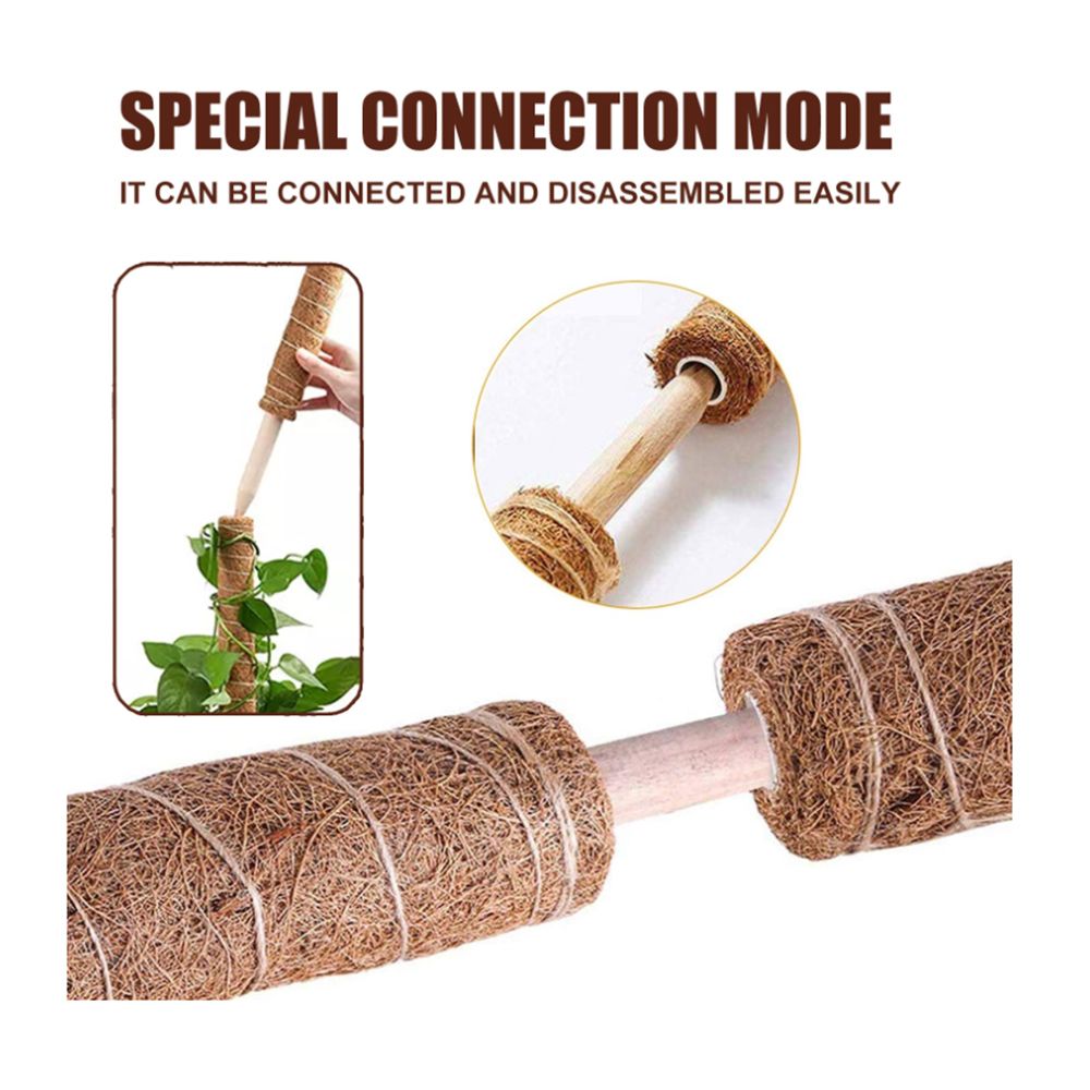 2Pcs 11.8'' Moss Poles Plant Stake Support For Climbing
