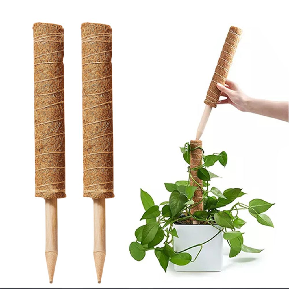 2Pcs 11.8'' Moss Poles Plant Stake Support For Climbing