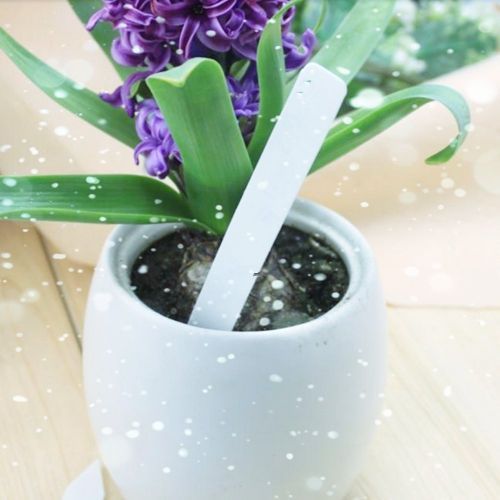 200PCS Plant Labels Plastic Nursery Garden