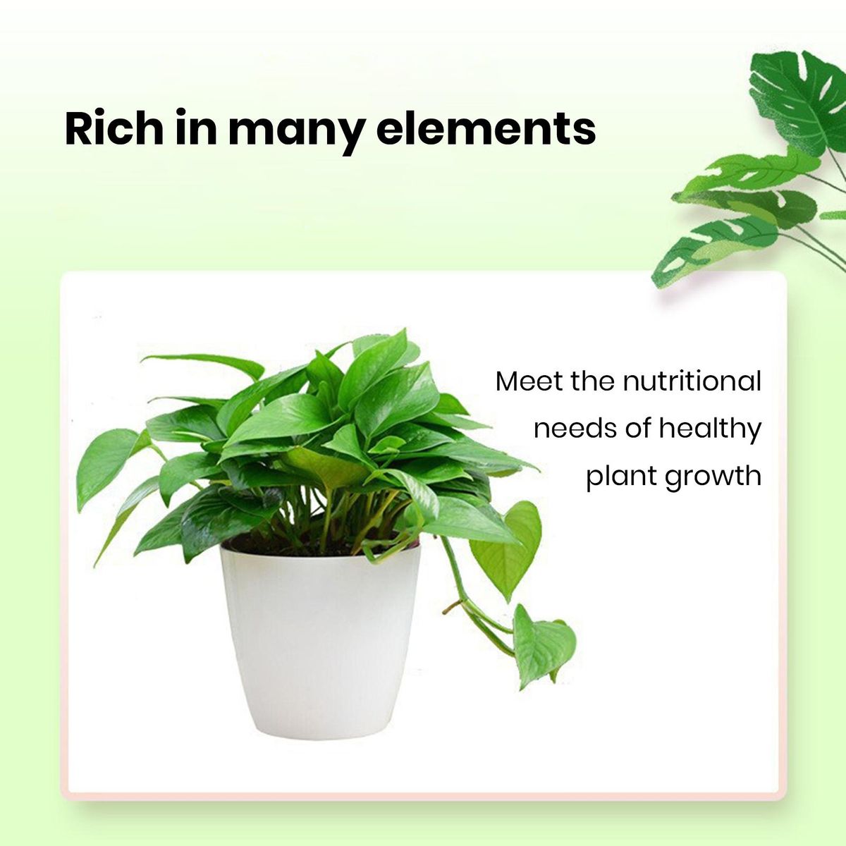 Flower Growth Fertilizer Tablet Greenboost 22-count Soil for Plants